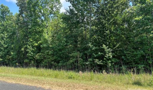 Photo #4 of Cabal, Sharon, SC