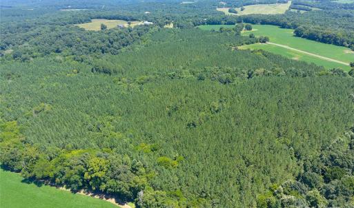 Photo #16 of 1455 Blonnie Ross, Polkton, NC