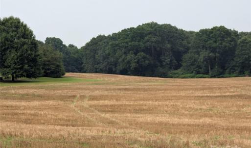 Photo #5 of 1455 Blonnie Ross, Polkton, NC