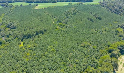 Photo #15 of 1455 Blonnie Ross, Polkton, NC