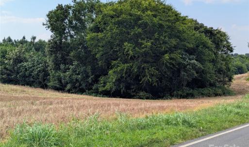 Photo #6 of 1455 Blonnie Ross, Polkton, NC