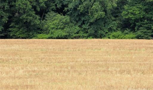 Photo #11 of 1455 Blonnie Ross, Polkton, NC