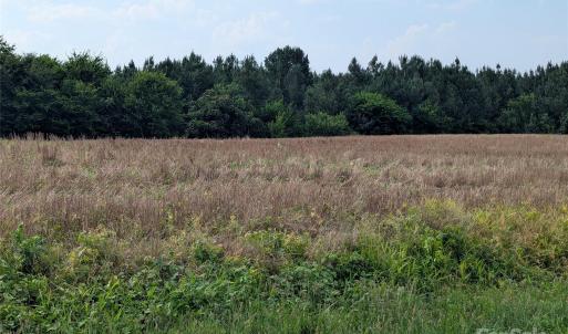 Photo #3 of 1455 Blonnie Ross, Polkton, NC