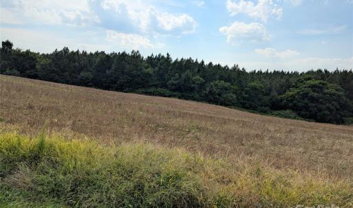 Photo #2 of 1455 Blonnie Ross, Polkton, NC