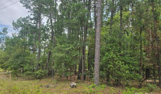 Photo #1 of Johnny Williams, Kershaw, SC