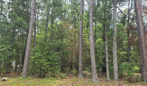 Photo #5 of Johnny Williams, Kershaw, SC