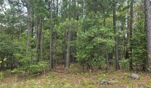 Photo #3 of Johnny Williams, Kershaw, SC