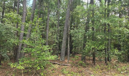 Photo #4 of Johnny Williams, Kershaw, SC