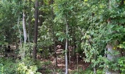 Photo #11 of Simpson, Waxhaw, NC