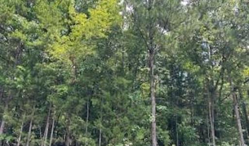 Photo #7 of Simpson, Waxhaw, NC