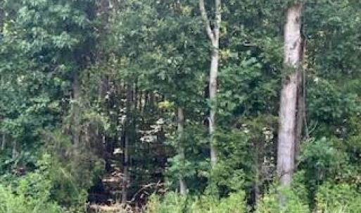 Photo #9 of Simpson, Waxhaw, NC