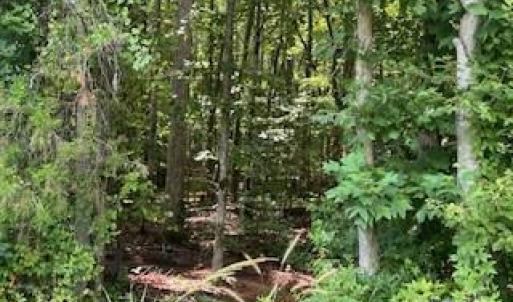 Photo #10 of Simpson, Waxhaw, NC