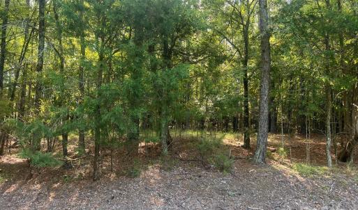 Photo #7 of 2031 Tiger Paw, York, SC