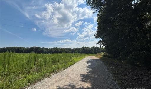 Photo #3 of Woody, Gold Hill, NC