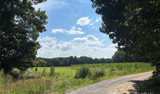 Photo #1 of Woody, Gold Hill, NC