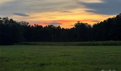 Photo #3 of Woody, Gold Hill, NC
