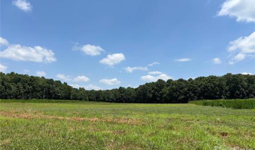 Photo #5 of Woody, Gold Hill, NC