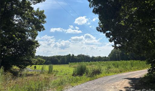 Photo #1 of Woody, Gold Hill, NC