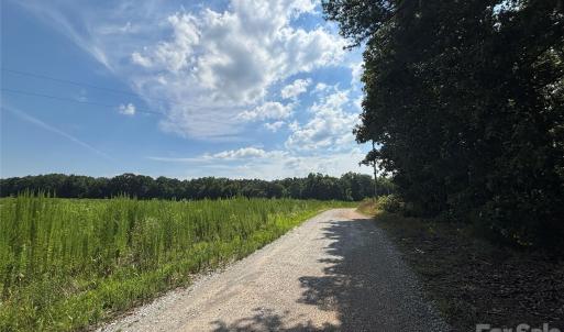 Photo #4 of Woody, Gold Hill, NC