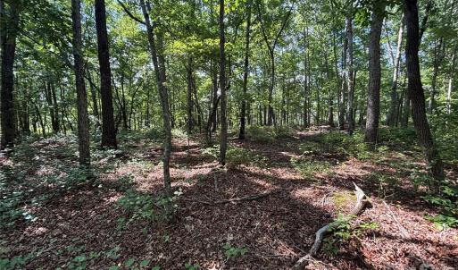 Photo #2 of Woody, Gold Hill, NC