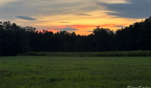 Photo #2 of Woody, Gold Hill, NC