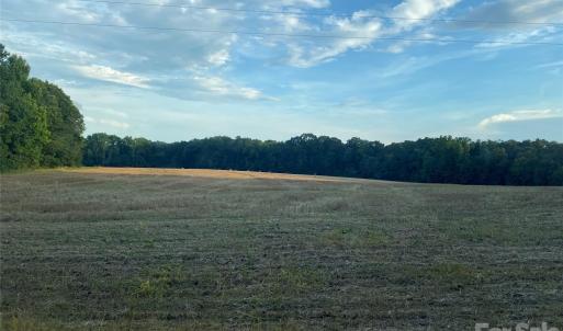 Photo #13 of Woody, Gold Hill, NC