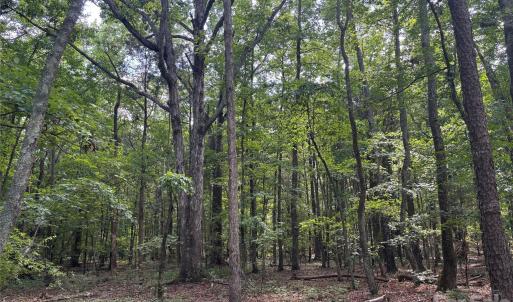 Photo #9 of Woody, Gold Hill, NC