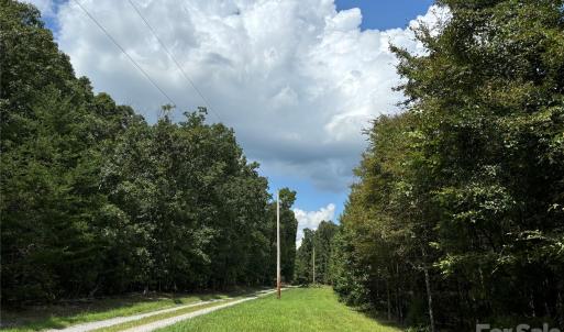 Photo #7 of Woody, Gold Hill, NC