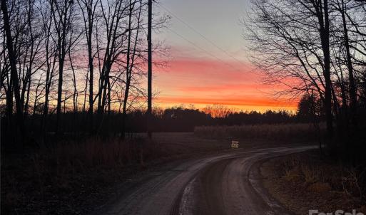 Photo #5 of Woody, Gold Hill, NC