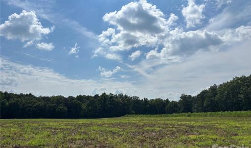 Photo #1 of Woody, Gold Hill, NC