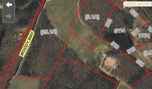 Photo #11 of Woody, Gold Hill, NC