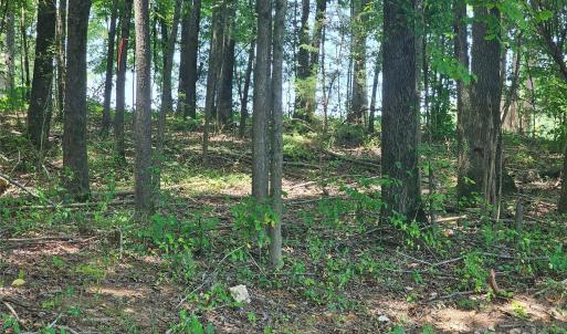 Photo #3 of Deer Tract, Lancaster, SC