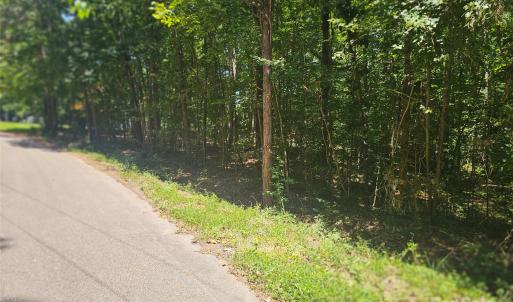 Photo #2 of Deer Tract, Lancaster, SC