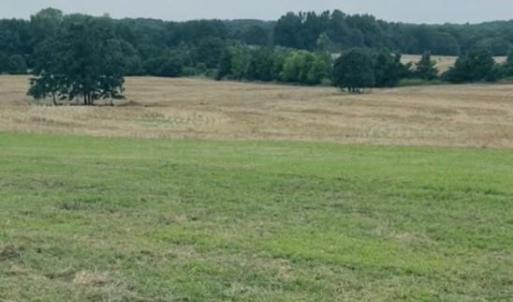Photo #4 of 7602 Gus Eubanks, Monroe, NC