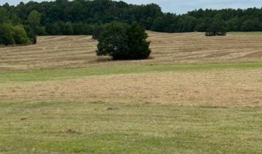 Photo #19 of 7602 Gus Eubanks, Monroe, NC