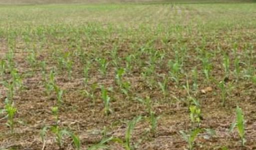 Photo #18 of 7602 Gus Eubanks, Monroe, NC