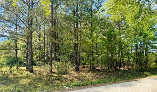 Photo #2 of 385 Elbert Baskins, Cheraw, SC