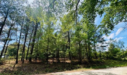 Photo #3 of 385 Elbert Baskins, Cheraw, SC