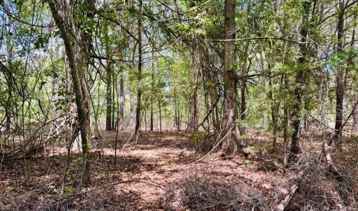 Photo #6 of 385 Elbert Baskins, Cheraw, SC
