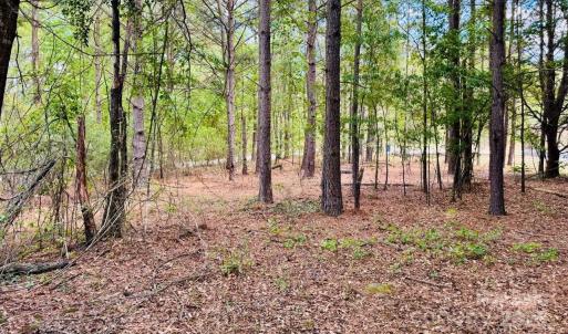 Photo #9 of 385 Elbert Baskins, Cheraw, SC