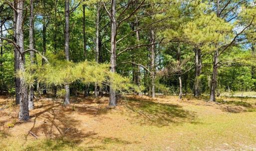 Photo #5 of 385 Elbert Baskins, Cheraw, SC
