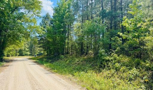 Photo #4 of 385 Elbert Baskins, Cheraw, SC