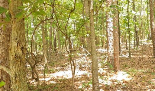 Photo #4 of TBD Traywick, Peachland, NC