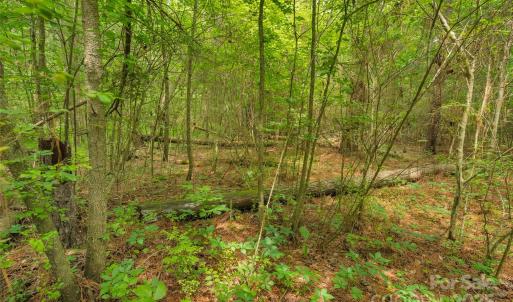 Photo #29 of Lucy Short Cut, Marshville, NC