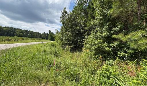 Photo #11 of Jackson, Chesterfield, SC