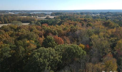 Photo #2 of Smyrna Church, Pageland, SC