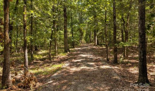 Photo #14 of Pageland, Lancaster, SC