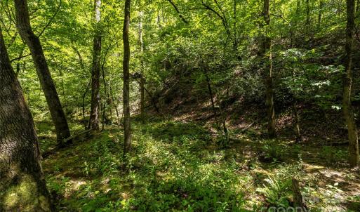 Photo #13 of Pageland, Lancaster, SC