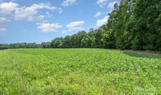 Photo #15 of Leonard Morgan, Marshville, NC