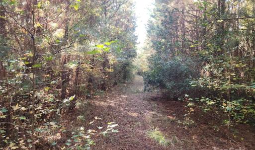 Photo #10 of 1202 Willow Brook, Nashville, NC